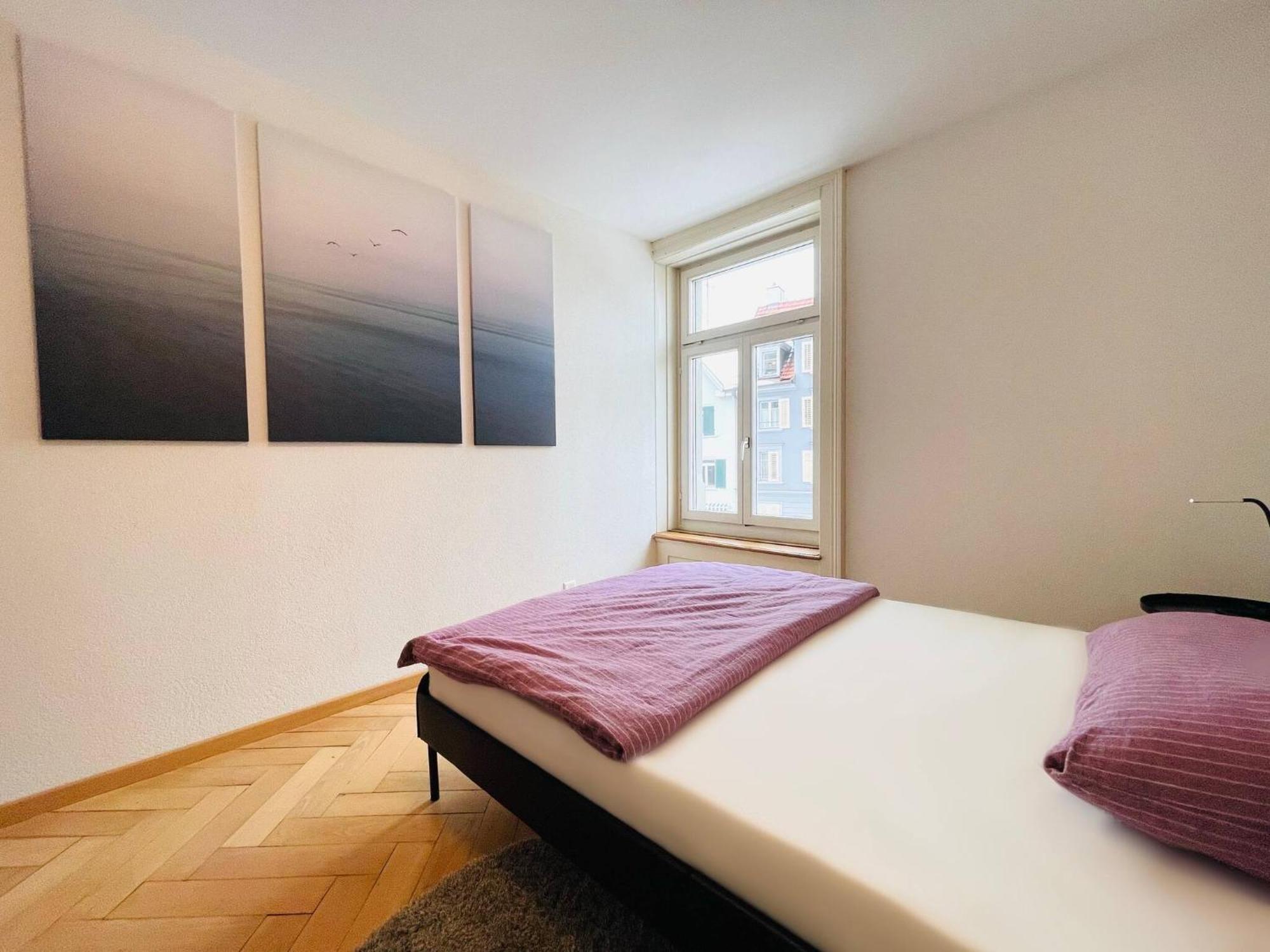 Beautiful, Bright, Large Apartment With Balcony Smarttv เซนต์กาลเลิน ภายนอก รูปภาพ